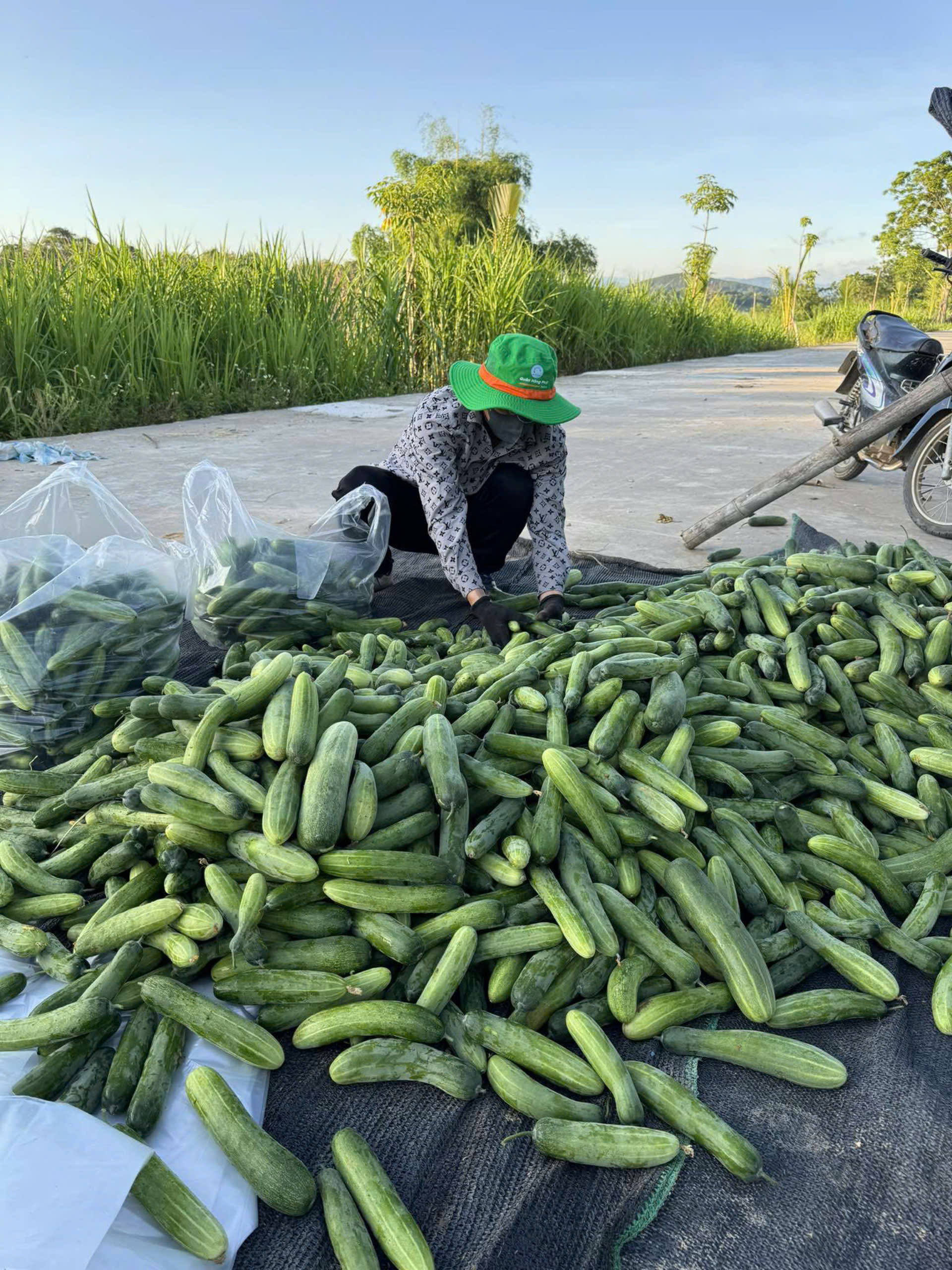 Slide trang chủ DUA LEO